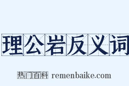 理公岩反义词是什么意思的图片